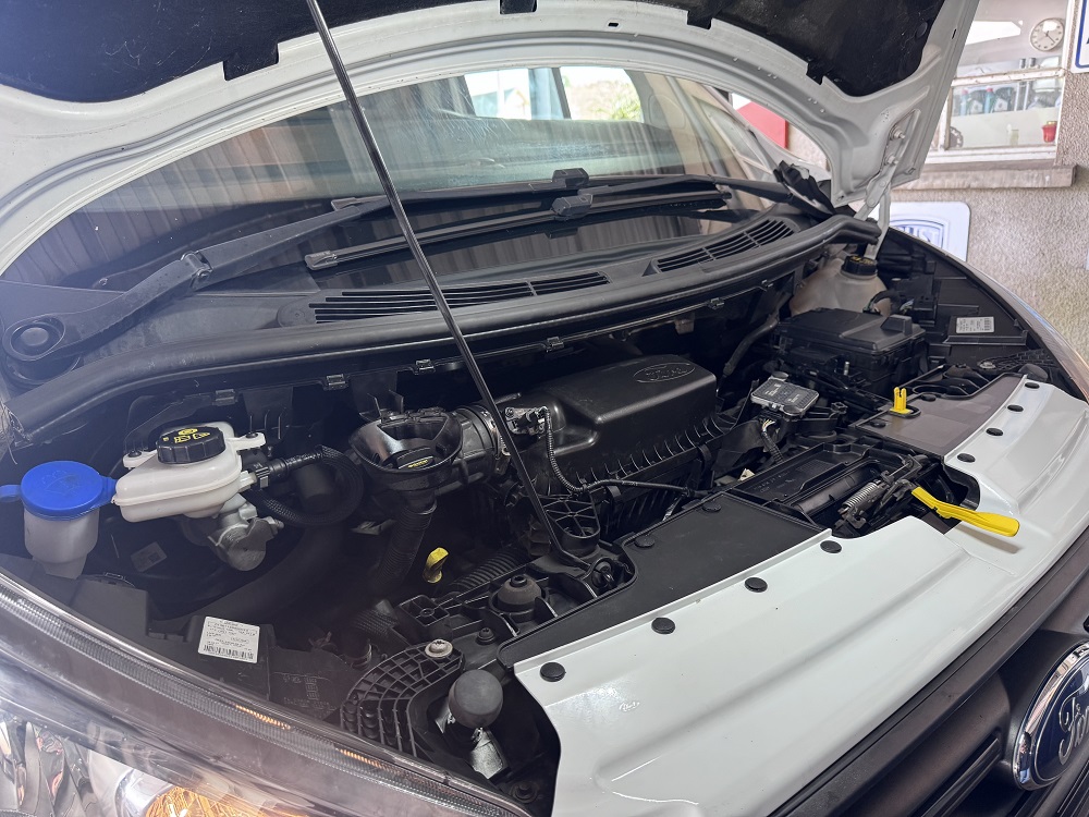 Custom EcoBlue sale at Vale AutoTec